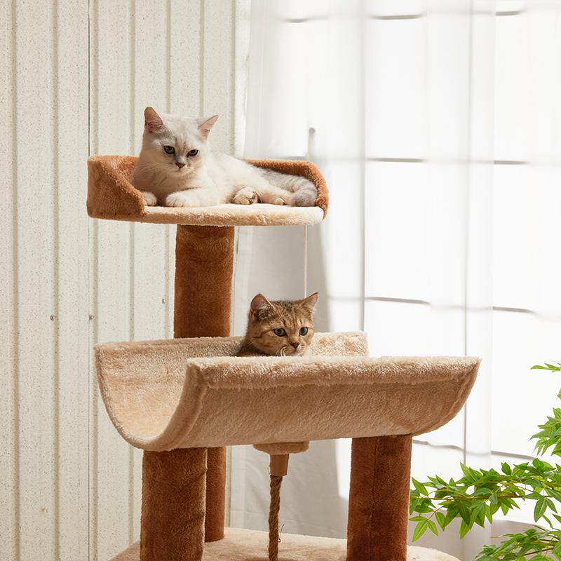 Torre per Gatti di Lusso con S - Home Decor Kota recensione e prezzo